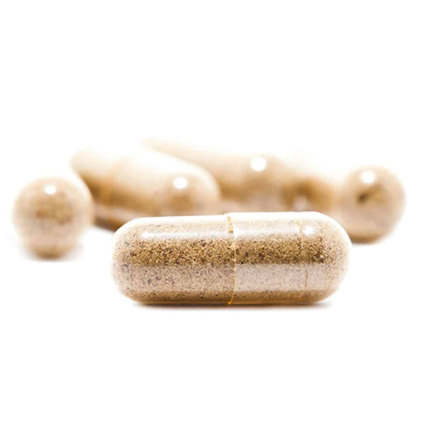 Buy mushroom capsules online